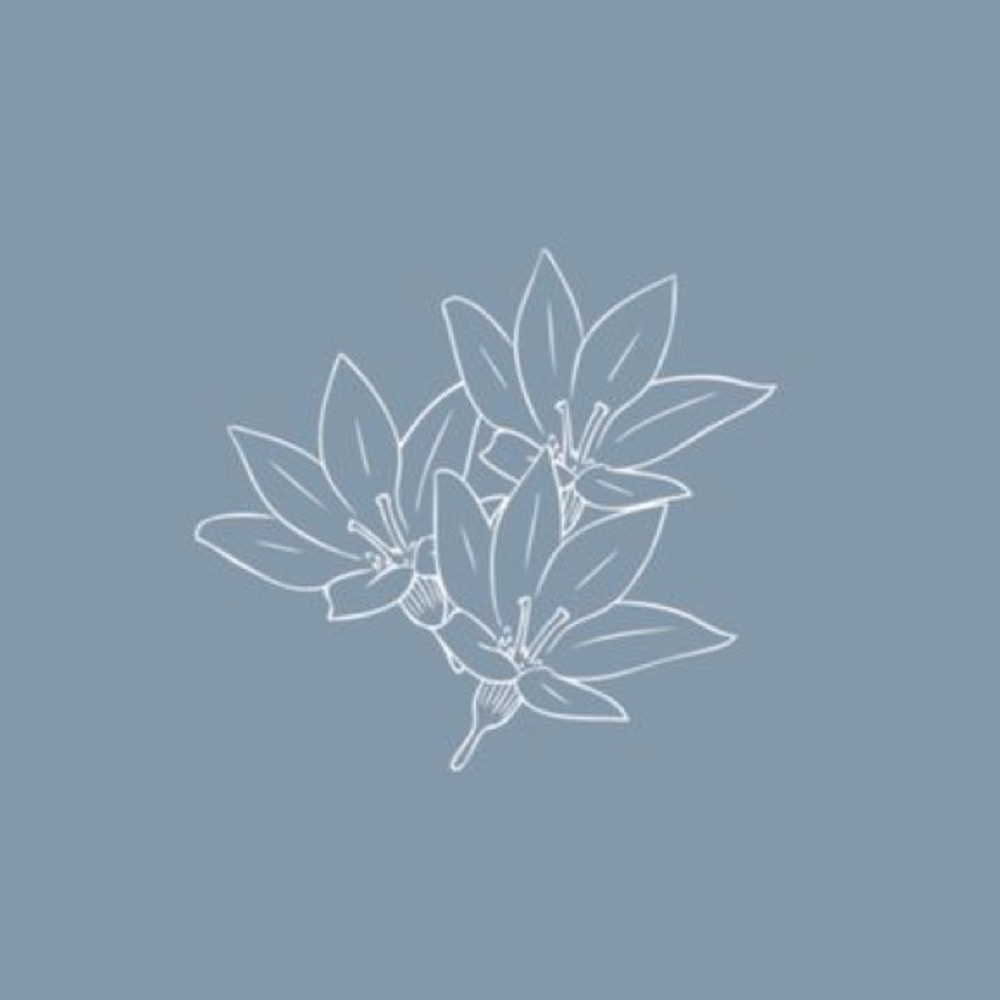 Meet your Posher, Skye